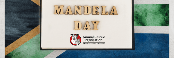 mandela-day-pups-animal-rescue-organisation