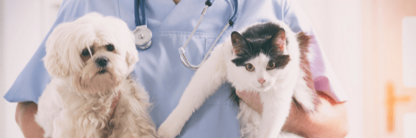 PREPARING YOU AND YOUR PET FOR A HOSPITAL STAY