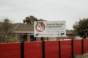 Animal Rescue Organisation (ARO)