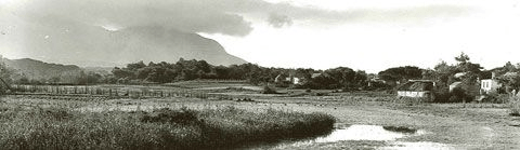 View of Devil's Peak across the 'flats' from Lansdowne Road (Then)