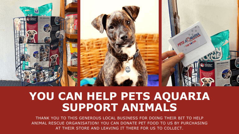 Support Local Companies, Support Animals in Need!