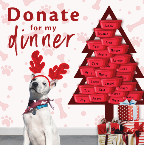 Donate for my Dinner