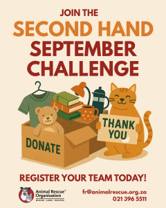 Second Hand September Challenge