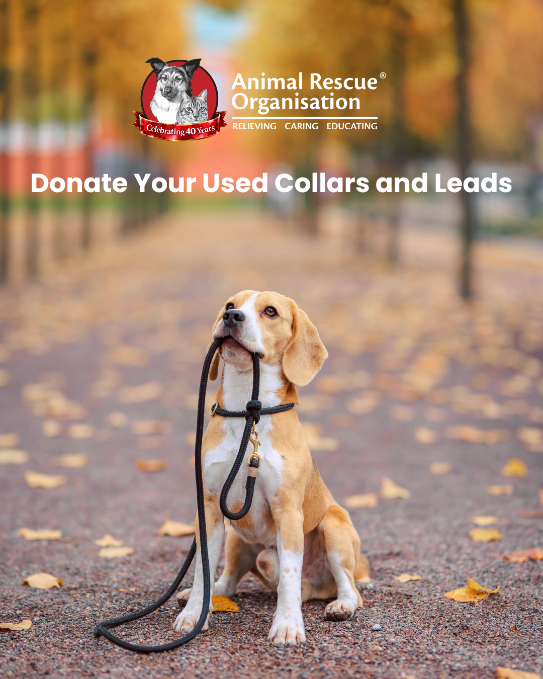 Donate your Used Colares and Leads